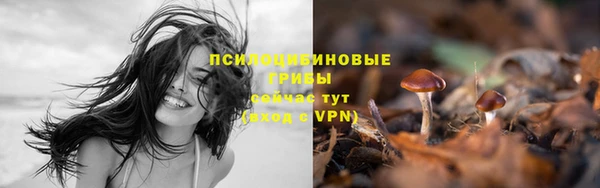 меф Алзамай