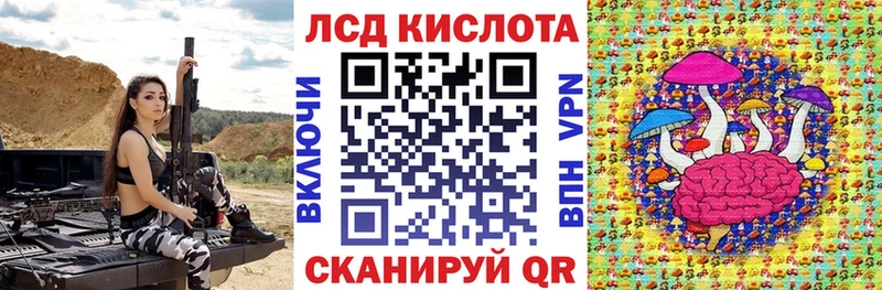 цена наркотик  Чебаркуль  блэк спрут рабочий сайт  Наркотические марки 1500мкг 