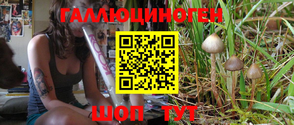 Чебаркуль  Псилоцибиновые грибы MAGIC MUSHROOMS  Вход с VPN 