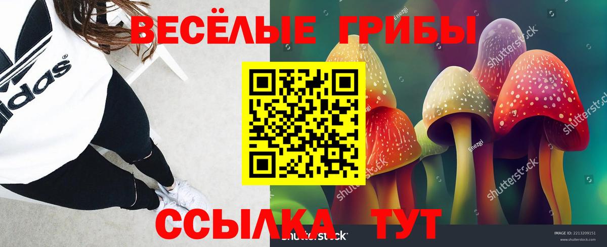 Псилоцибиновые грибы мицелий Чебаркуль