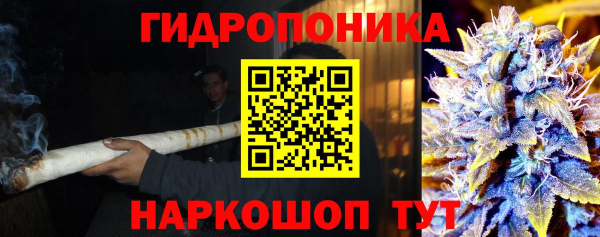 Бошки Шишки план  Канабис семена  Вход с VPN  Чебаркуль  Канабис Amnesia 